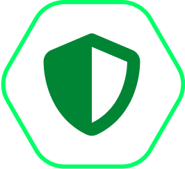Shield icon